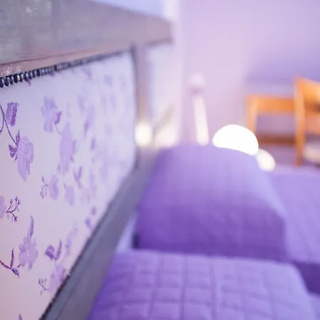 게스트하우스 Sassari-in 사사리